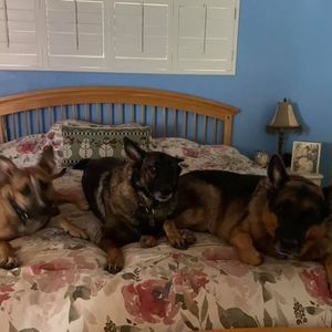 Meet your Posher, Kathy